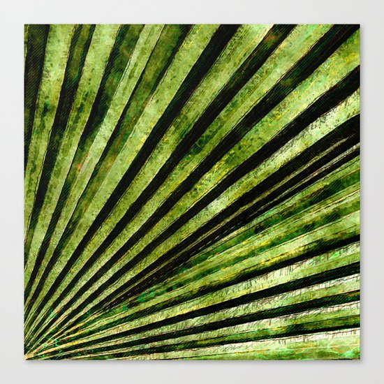Green Palm Tree Frond Canvas Print