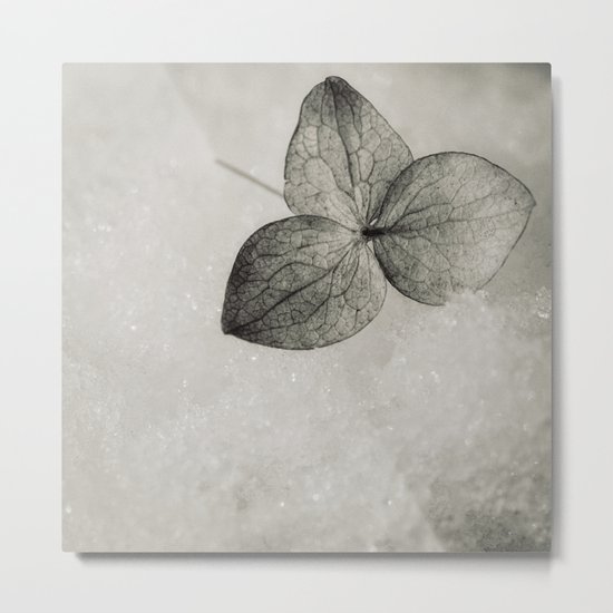 on ice Metal Print