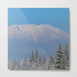 Room with a view Metal Print
