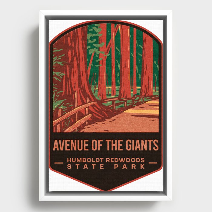 Redwoods State Park Framed Canvas