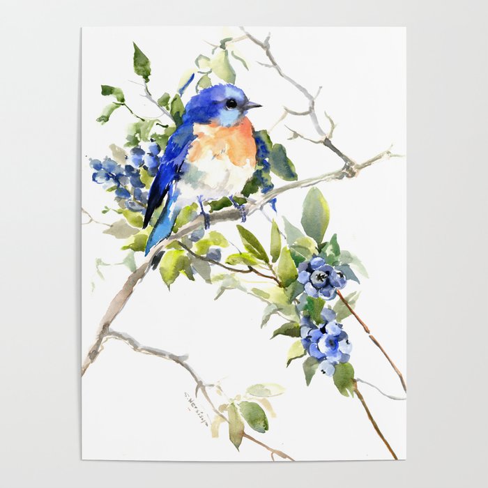 Bluebird and Blueberry Poster