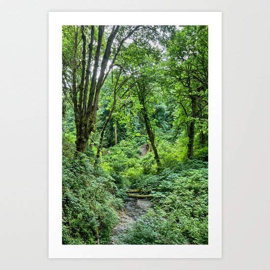 Tranquil Stream Art Print