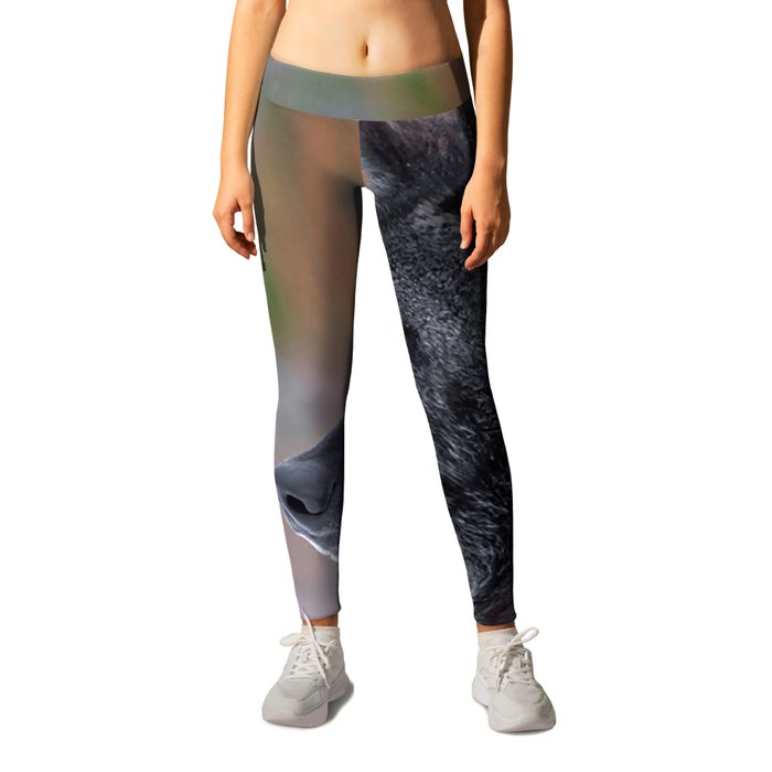 North American Grey Wolf Winter Landscape Leggings by Frost Store