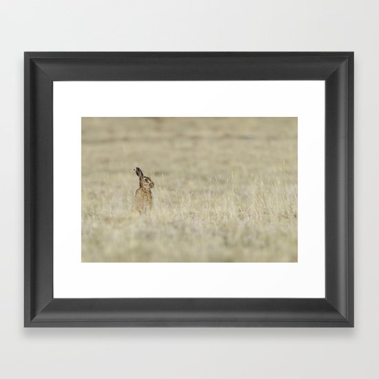 Brown hare Framed Art Print