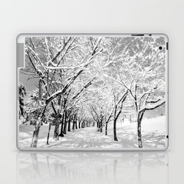 Light Through Snow Covered Trees, B&W Laptop Skin
