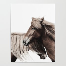 Horses Print Poster