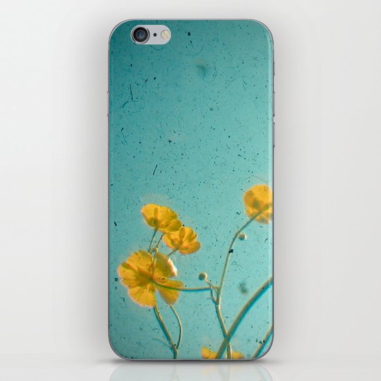 Happiness is iPhone & iPod Skin