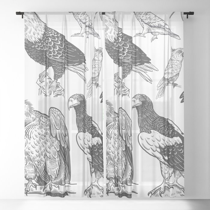 Birds of wildlife set. Eagles, owls, parrots, pelican, penguins, ibis, puffin isolated on white background. Tropical, exotic, water birds. Black white illustration. Vintage. Vintage. Realistic graphics Sheer Curtain