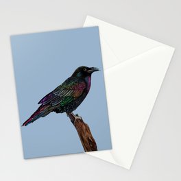 Rainbow Raven Stationery Card