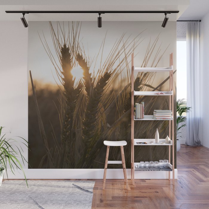 Wheat Holding the Sunset Wall Mural