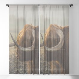 Scottish Highland Cow | Scottish Cattle | Cute Cow | Cute Cattle 01 Sheer Curtain