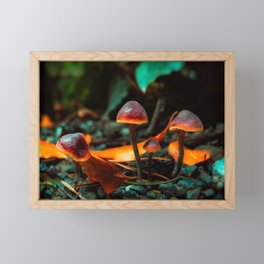 Mushroom Glow Framed Mini Art Print