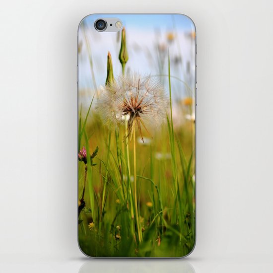 Summer Meadow Breeze iPhone & iPod Skin