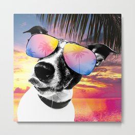 Crazy summer dog style Metal Print