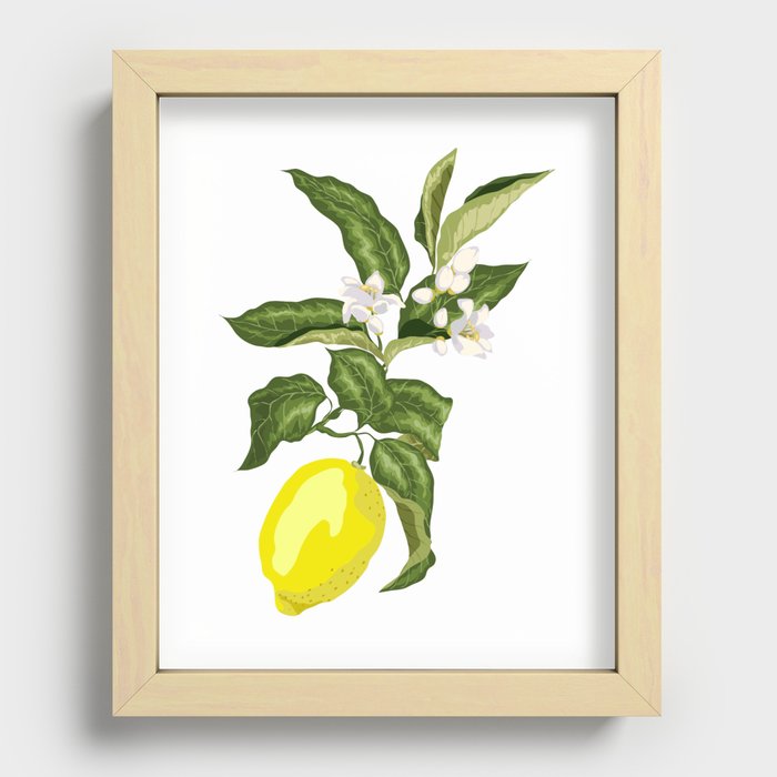 Lemon Branches with Fruits Recessed Framed Print