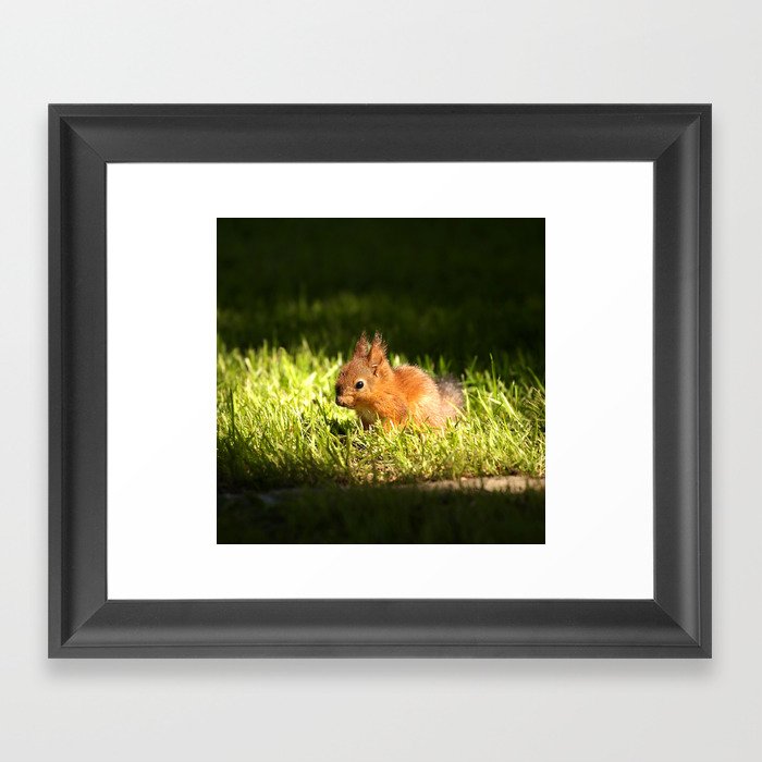 Cute Squirrel Cub #decor #society6 #buyart Framed Art Print
