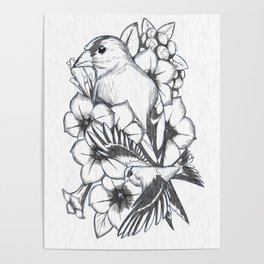 American Goldfinch - Digital Pencil Drawing Poster