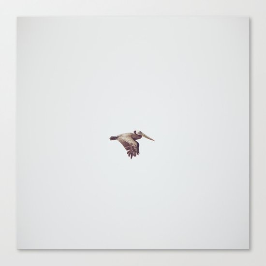 Solo Flight Canvas Print