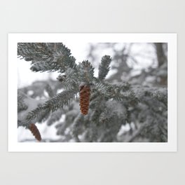 Pine cones in the snow Art Print