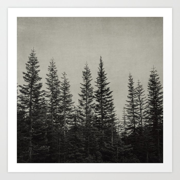 the edge of the forest Art Print