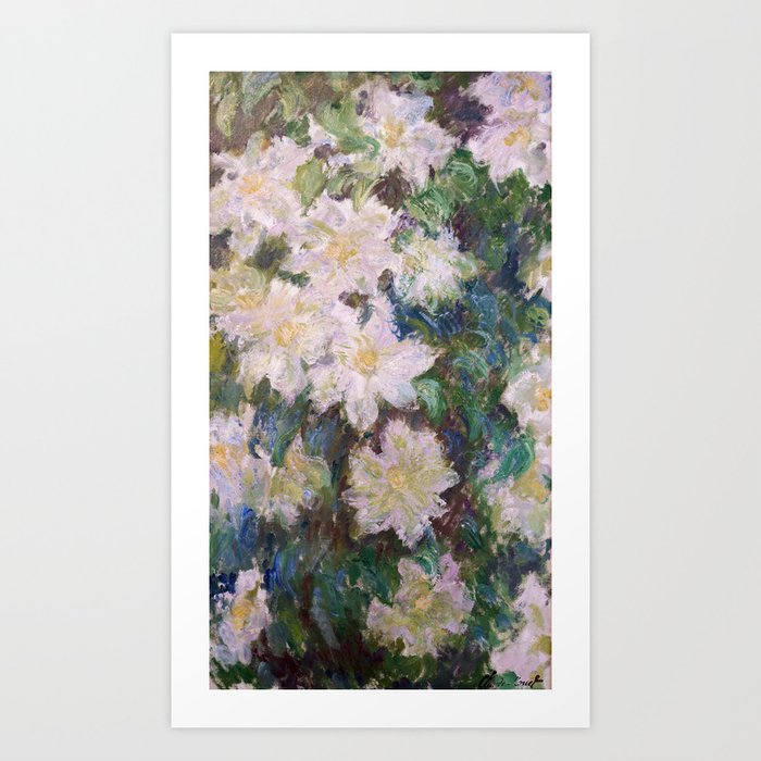 Claude Monet - White Clematis Art Print