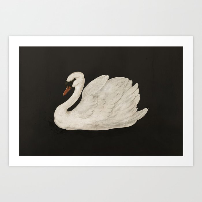 Vintage Mute Swan on distressed antique black canvas  Art Print