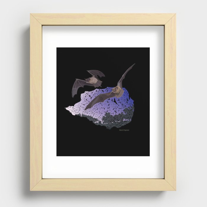 Bracken Cave Bats Recessed Framed Print