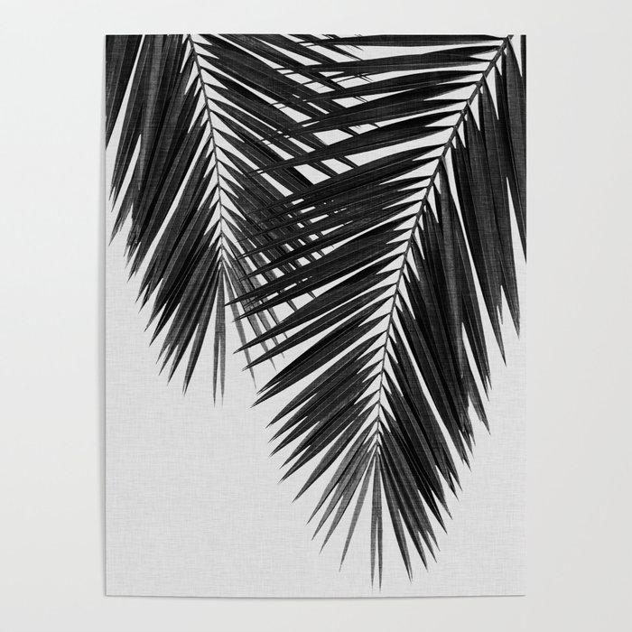 Palm Leaf Black & White II Poster