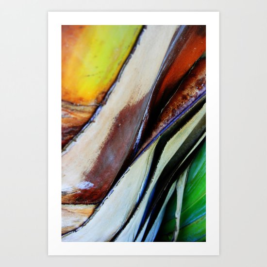 Abstract Palm 3 Art Print