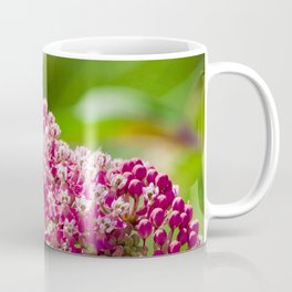 Swamp Rose Milkweed Flowers (Nature Photography) Coffee Mug