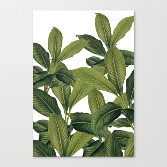 Love these leaves Canvas Print