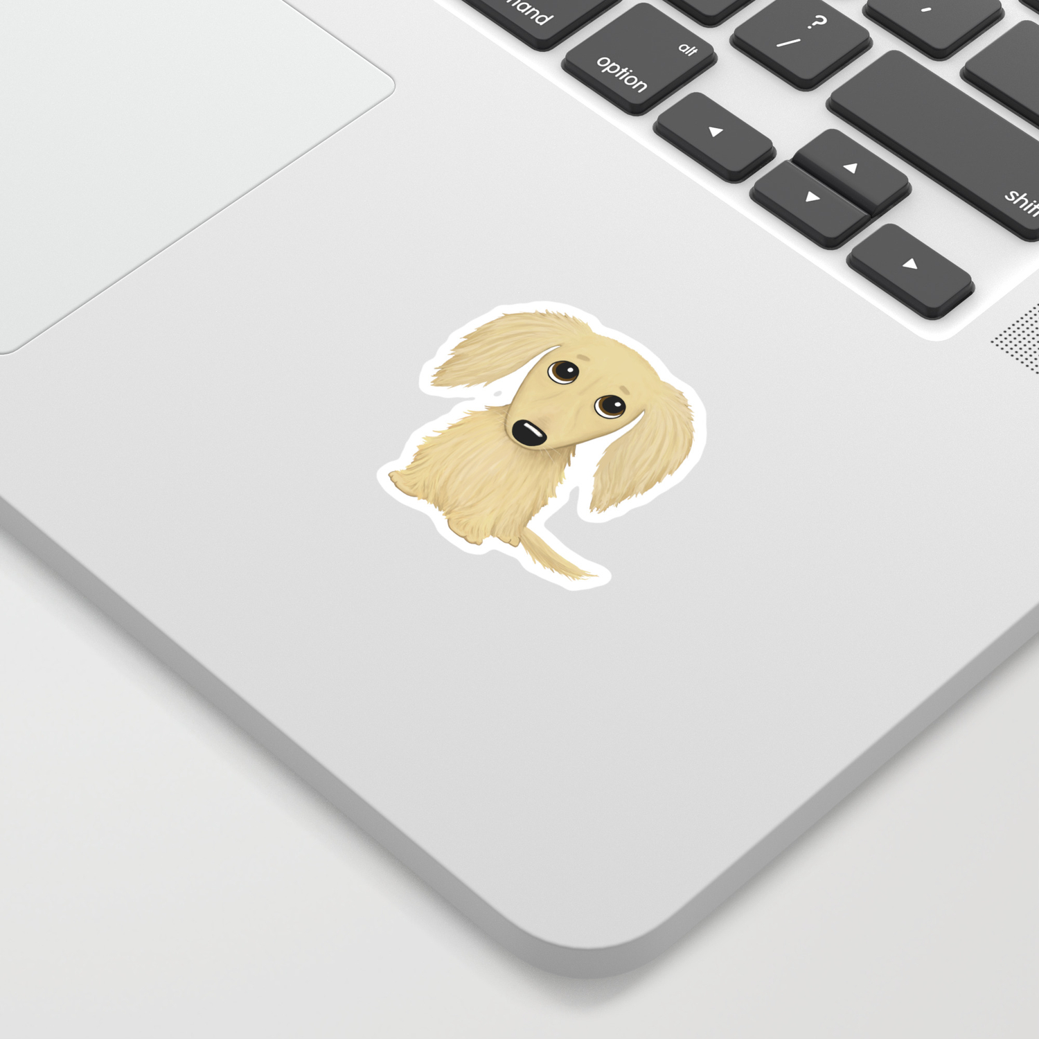 Longhaired Cream Dachshund Sticker By Mylifeisacartoon Society6