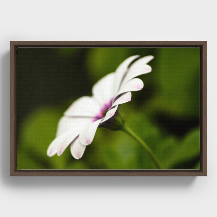 Flower Framed Canvas