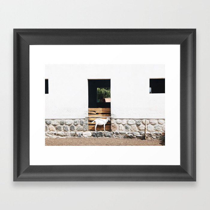 Reflective Goat Framed Art Print