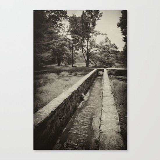 The Stream Flows Canvas Print