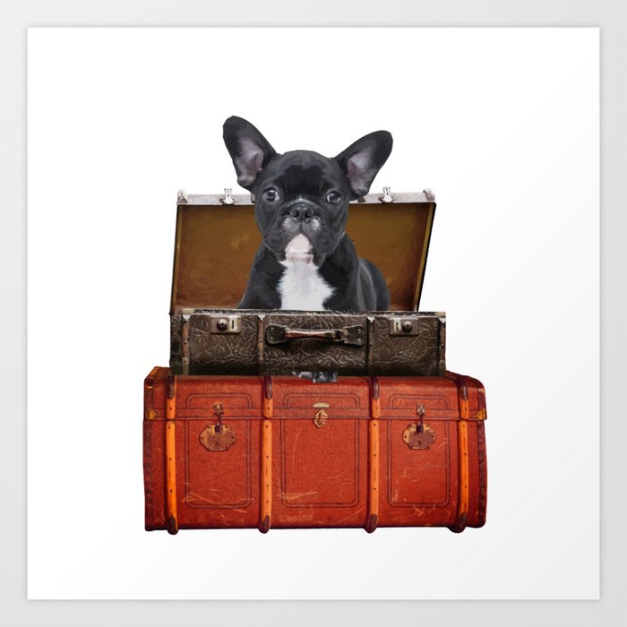 Frenchie French Bulldog - old suitcases -  Art Print