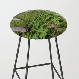 early spring forest Bar Stool