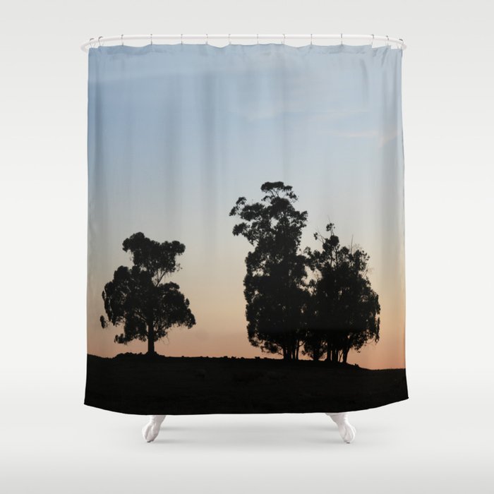 Eucalyptus trees at sunset Shower Curtain