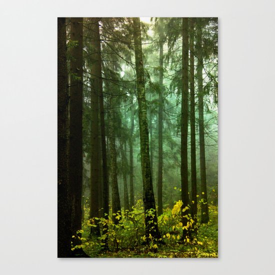 Once upon a time... Canvas Print