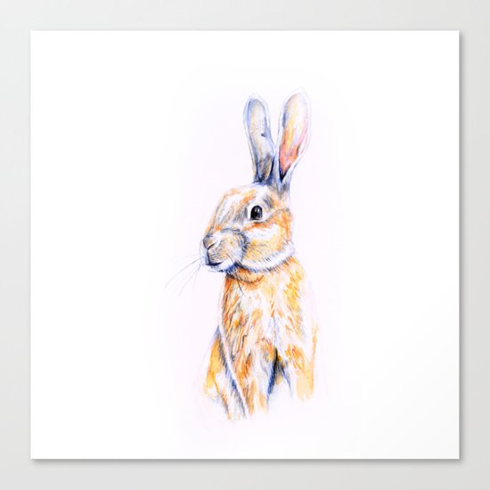 Rabbit Canvas Print