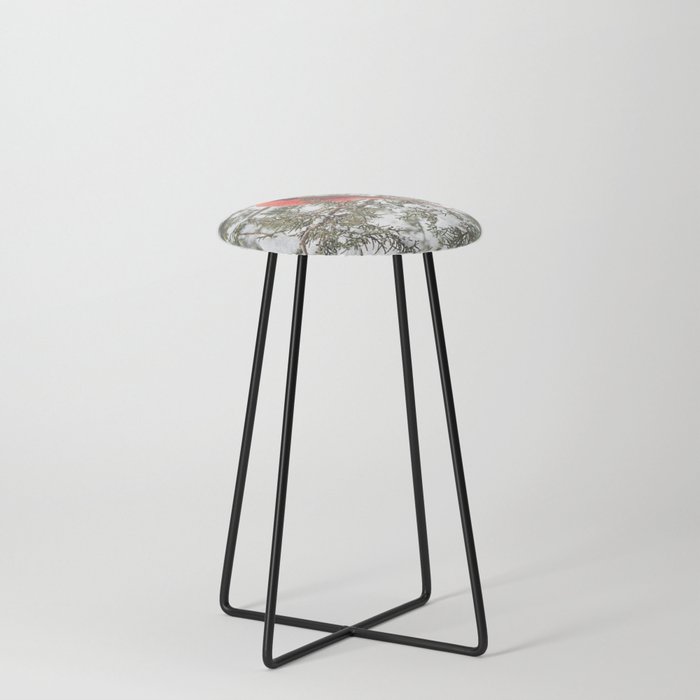 Cardinal Bar Stools, Cardinal On A Snowy Cedar Branch Sq Counter Stool By Nancyacarter Society6