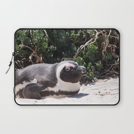 South Africa Photography - Penguin Laying At The Beach Laptop Sleeve