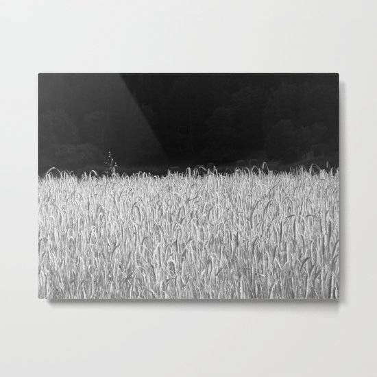 Souvenirs d'été Metal Print