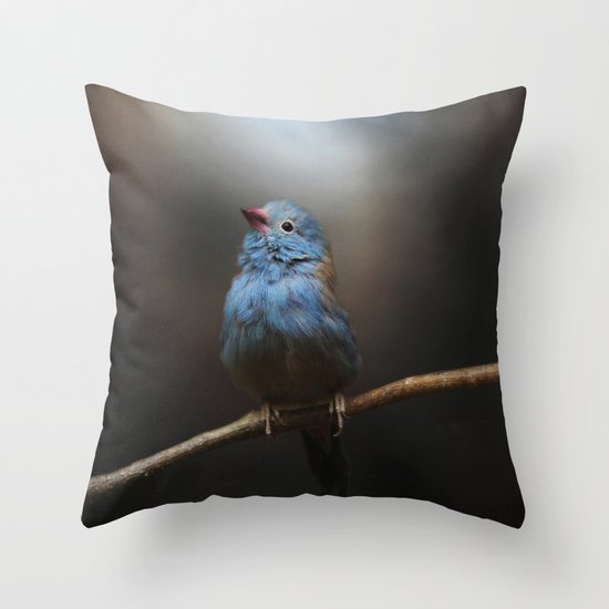 Believe! Throw Pillow