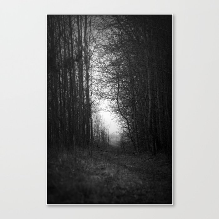 In the deep dark forest... Canvas Print
