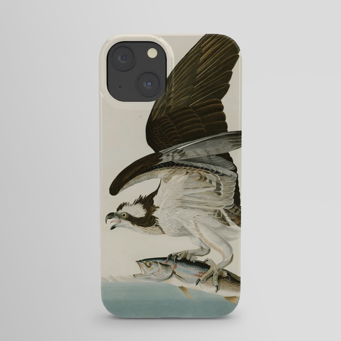 Osprey - John James Audubon's Birds of America Print iPhone Case