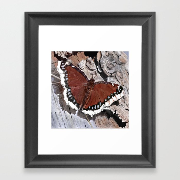 Cloak of Mourning Butterfly Framed Art Print