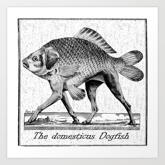If fishes had legs Art Print