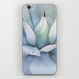 Mexico Photography - The Beautiful Agave Plant iPhone Skin