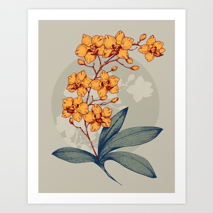  Mini orchids to your garden space Art Print